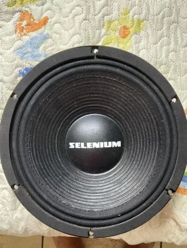 ALTO FALANTE 10 POLEGADAS