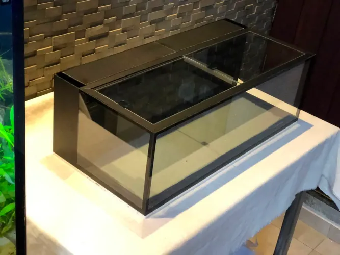 Aquario 