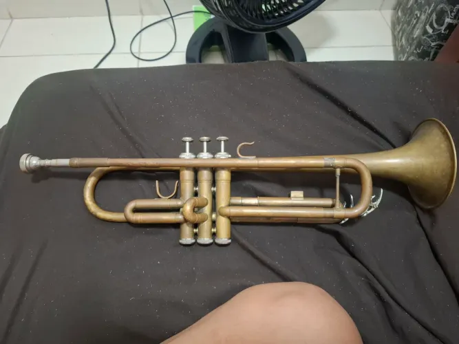Trompete sib
