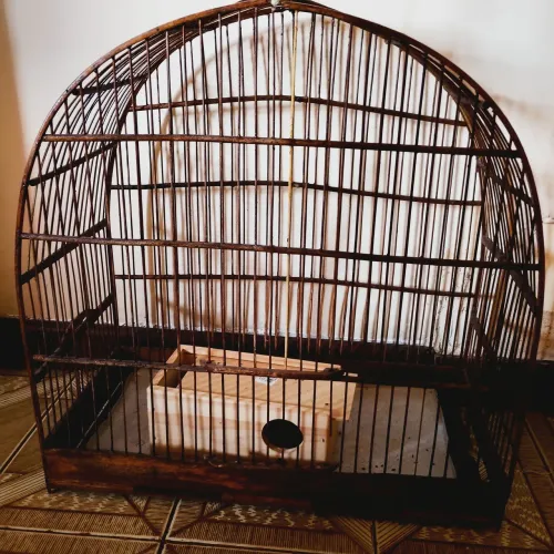 Gaiola passarinho