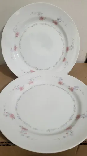 2 pratos  rasos de porcelana germer 