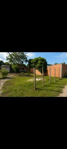 Porto seguro,Coroa vermelha