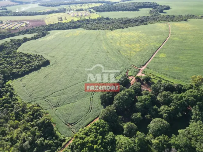 Fazenda 38 Alqueires (183,08 Hectares) Rio Verde - Go
