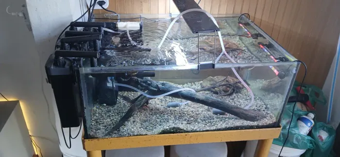 Aquario 200l completao