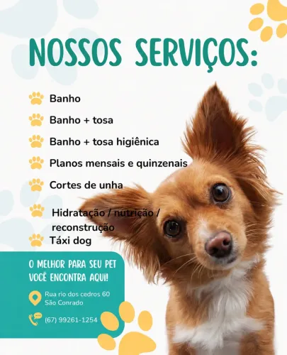 Banho e tosa Mimo's Pet