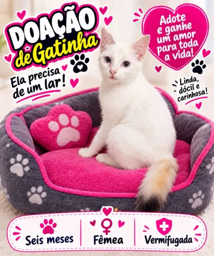 Gata para doação