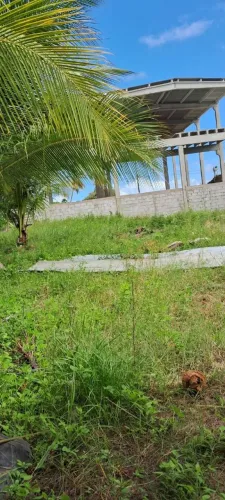 Sítio No Francês 600m² a 300m do Viaduto Excelente Oportunidade
