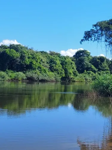 FAZENDA À VENDA OU ARRENDAMENTO MT