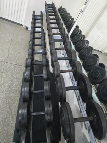 Jogo Dumbell ferro 526kg + suporte