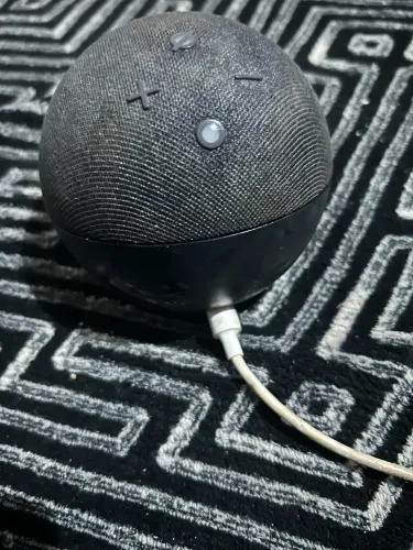 Alexa ( Echo Dot )