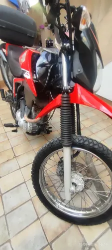 Bros único dono