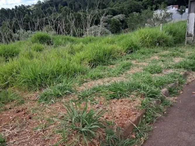 Terreno 364 m² - Monte Belo - Chapecó - SC