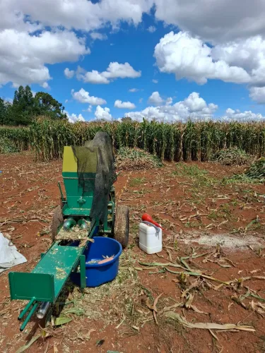 Silagem de milho ensacada