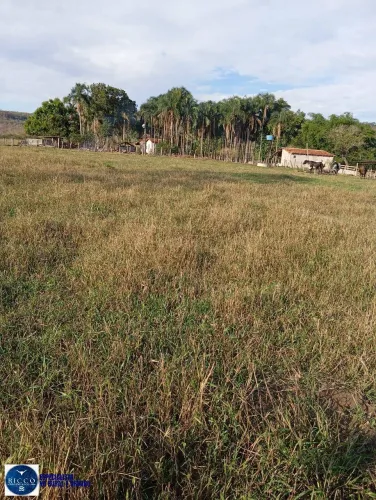 FAZENDA À VENDA EM IPORÁ  GO | 30 ALQUEIRES | PECUÁRIA | RIO
