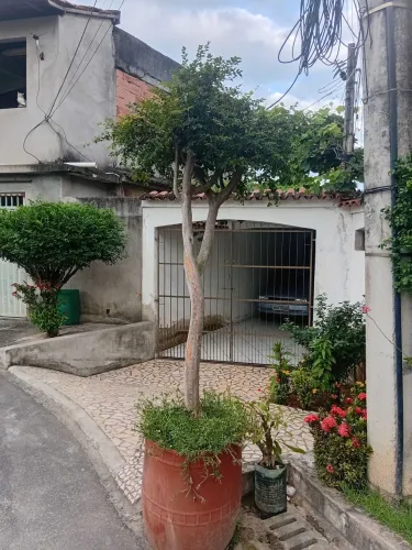 Jabuticaba sabara