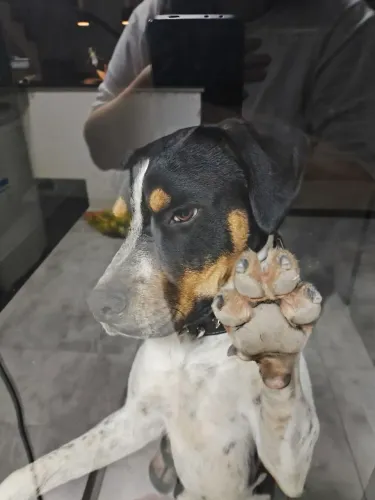 Doação