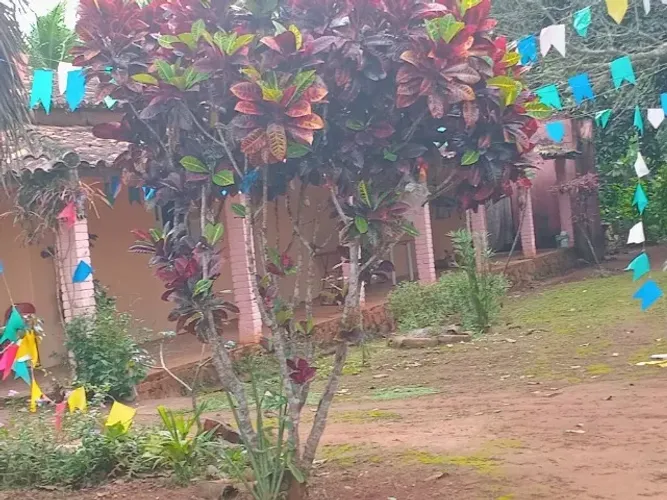 Sítio com casa 1 tarefa e quase meia de terra a 5 min da 101
