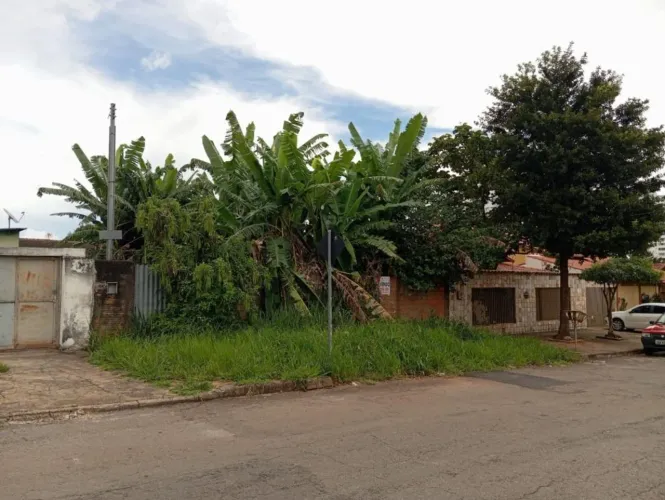 Lote - Parque Amazônia