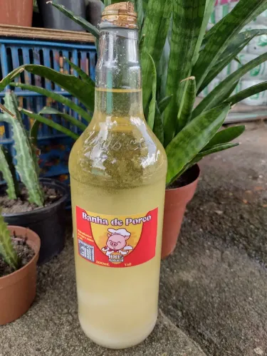 BANHA de PORCO novinha 