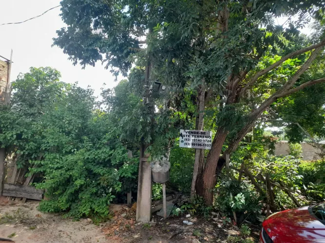 Terreno no bairro Área verde.