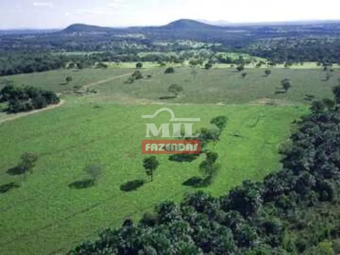 Fazenda Plana em Formoso-GO. 102 Alq. (493 Há).