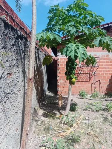 Casa na avenida do telégrafo