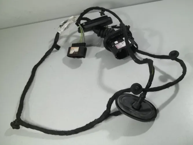 Chicote Da Porta Traseira Esquerda Ford Ka 2017