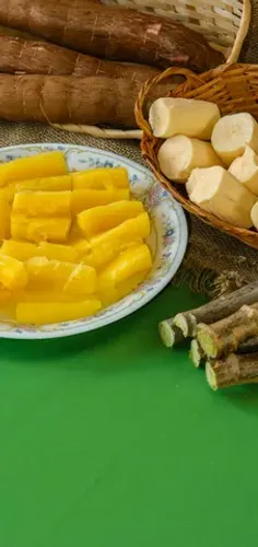 Mudas de Mandioca Chips - Frita sem precisar cozinhar! RAMAS DE MANDIOCA (AIPIM) PARA MUDA