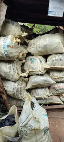 Carvão vegetal de eucalipto 