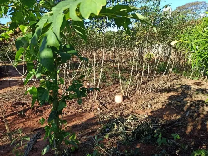 Terreno para Venda em Martinópolis, JARDIM PAULISTA