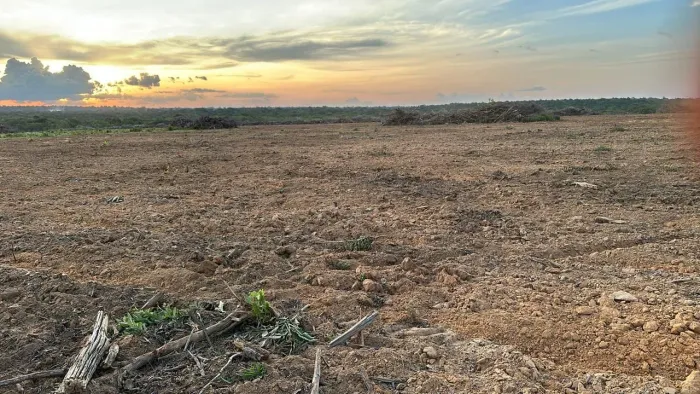 Fazenda arrendamento 2.400 hect em Nova Canaã do norte, tabaporã