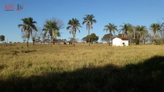 Fazenda para Venda em Paranaíba Ituiutaba-MG