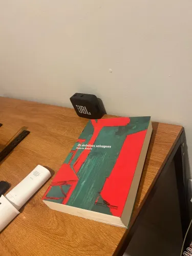 Detetives Selvagens - Roberto Bolaño 