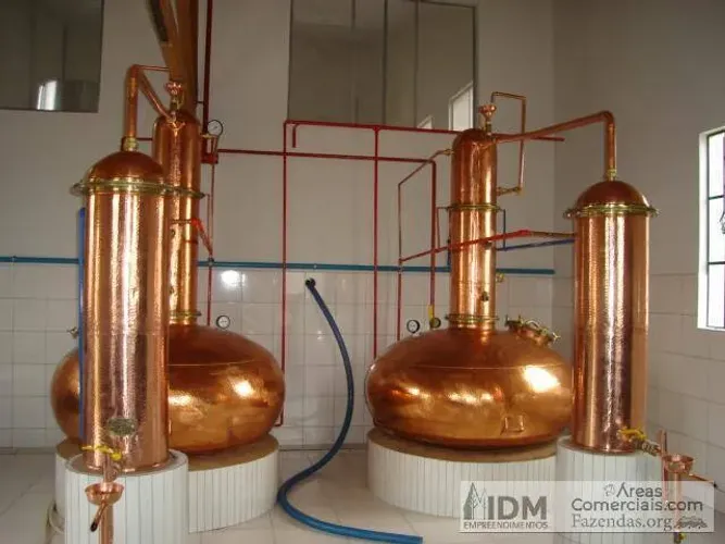 Fazenda Cana e Cachaça com 136,5 ha em Salinas - MG