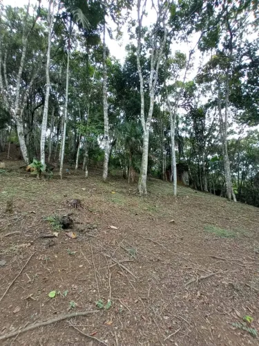 Sitio na Limeira com 10.000,00 m²
