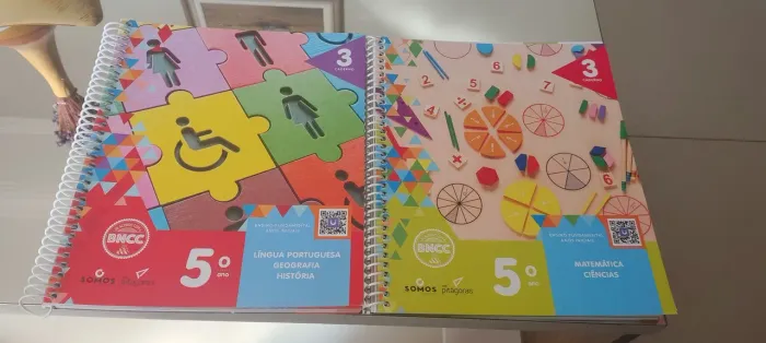 Livro Rede Pitágoras 5 ano 