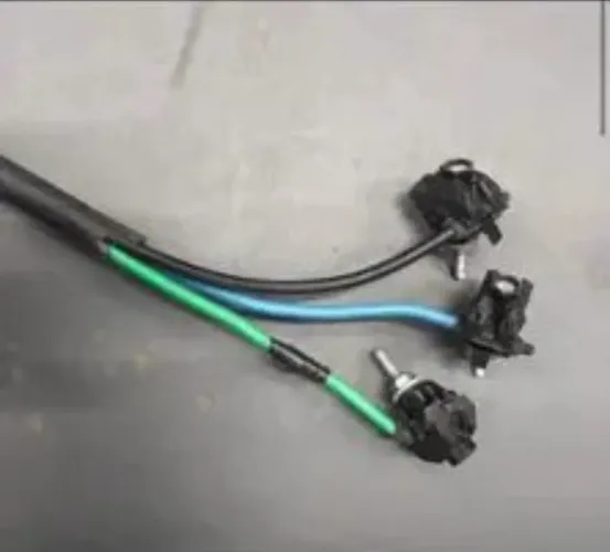 Extensão 50 mts