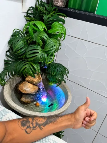 Mine lago ornamental