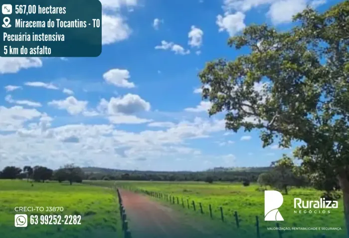 Fazenda em Miracema do Tocantins 5 km do asfalto