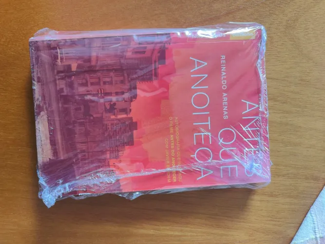 Livro Antes que anoiteça 