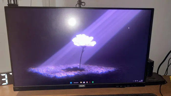 Monitor Philips 24 polegadas 