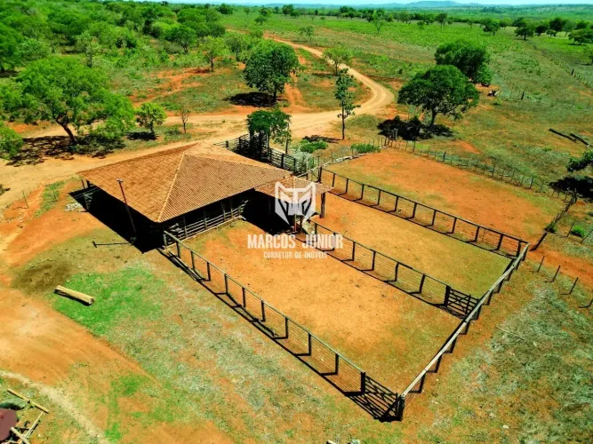 VENDO FAZENDA NO NORTE DE MINAS COM DUPLA APTIDÃO, POÇO BOA VAZÃO, TERRA VERMELHA E OTIMA 
