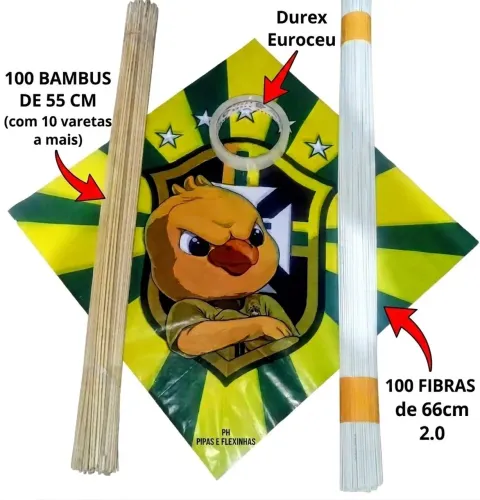 KIt Faça você você mesmo os Flexinhas