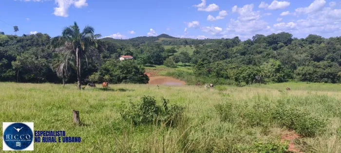 CHÁCARA À VENDA EM CEZARINA/GO 5 ALQUEIRES COM REPRESA