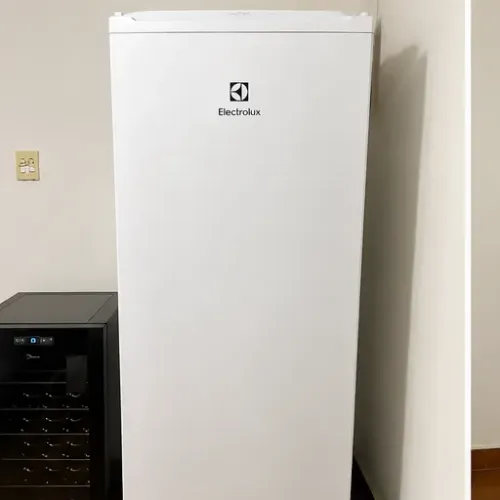 Freezer Vertical Electrolux FEI27 234L 220V Semi Novo com NF