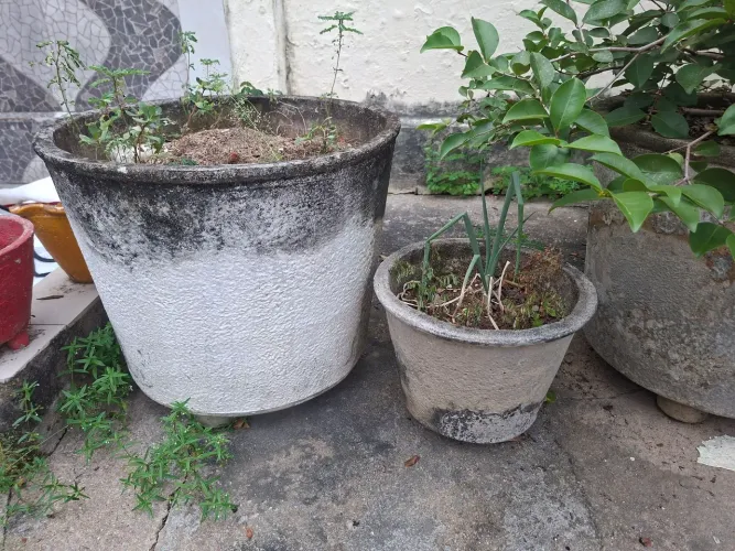 Vaso grande e pequeno