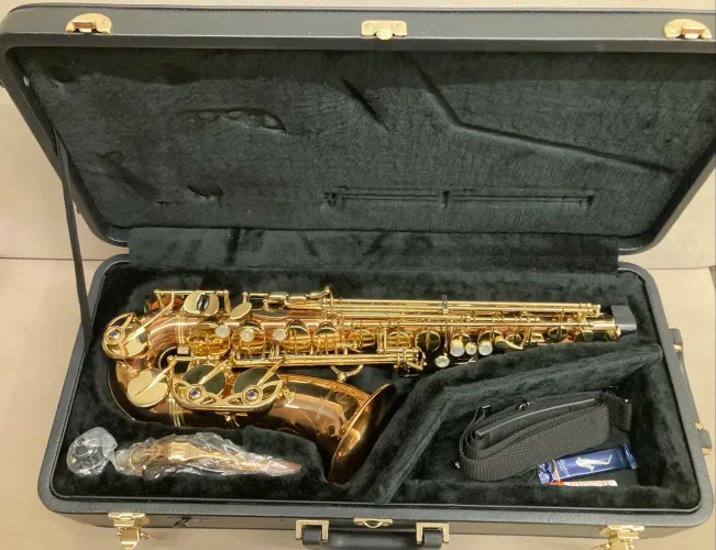 Sax Alto Yanagisawa Profissional 