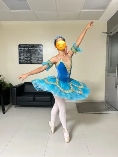 Alugo fantasia/ tutu Azul - princesa Florine