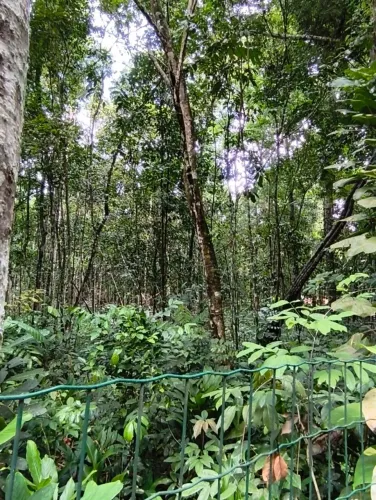TERRENO 4.000m2 / Trancoso-BA
