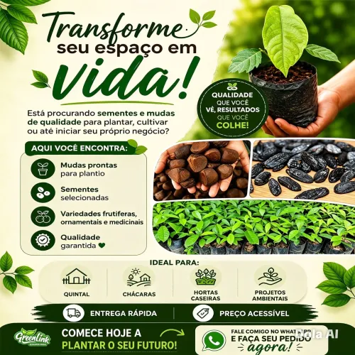 Sementes e mudas selecionadas da Amazônia - Alta germinação, procedência e qualidade